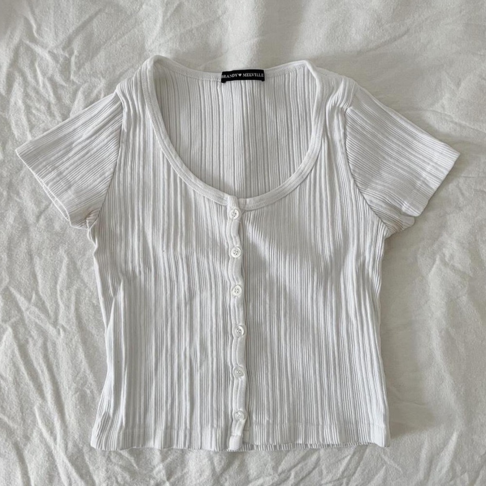 Zelly Brandy Melville Crop Top